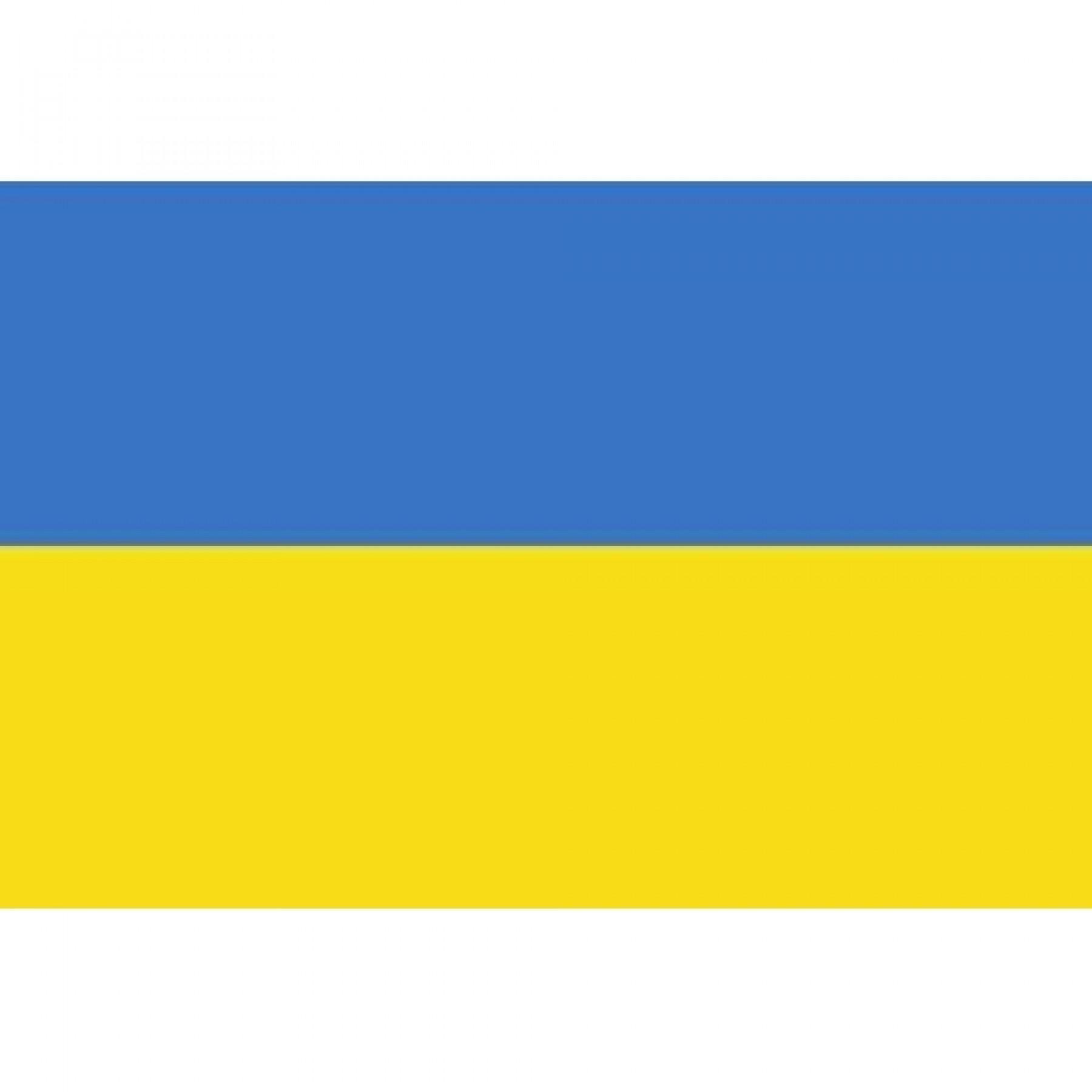 Flagga Supporter Shop Ukraine