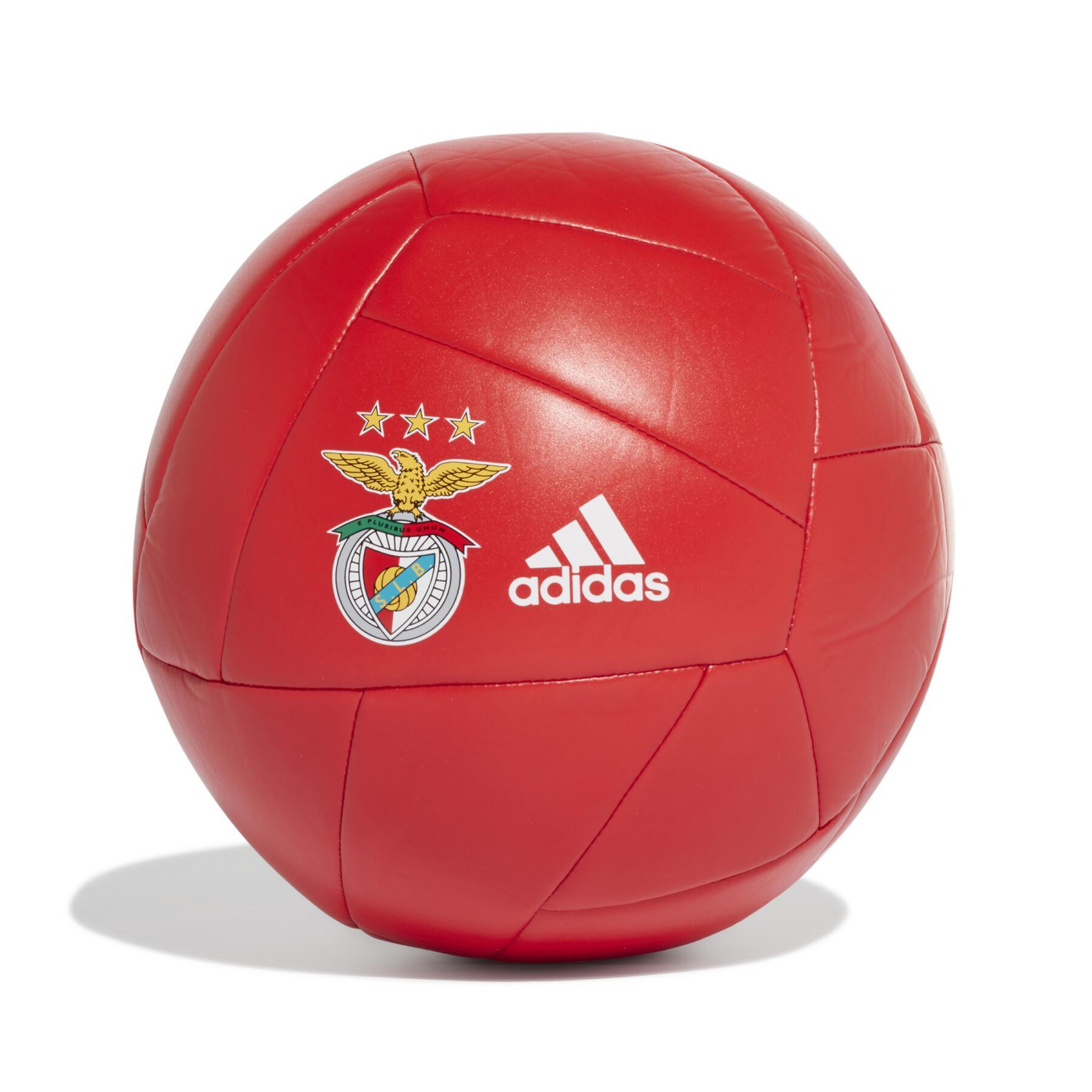Ballong Benfica Lisbonne