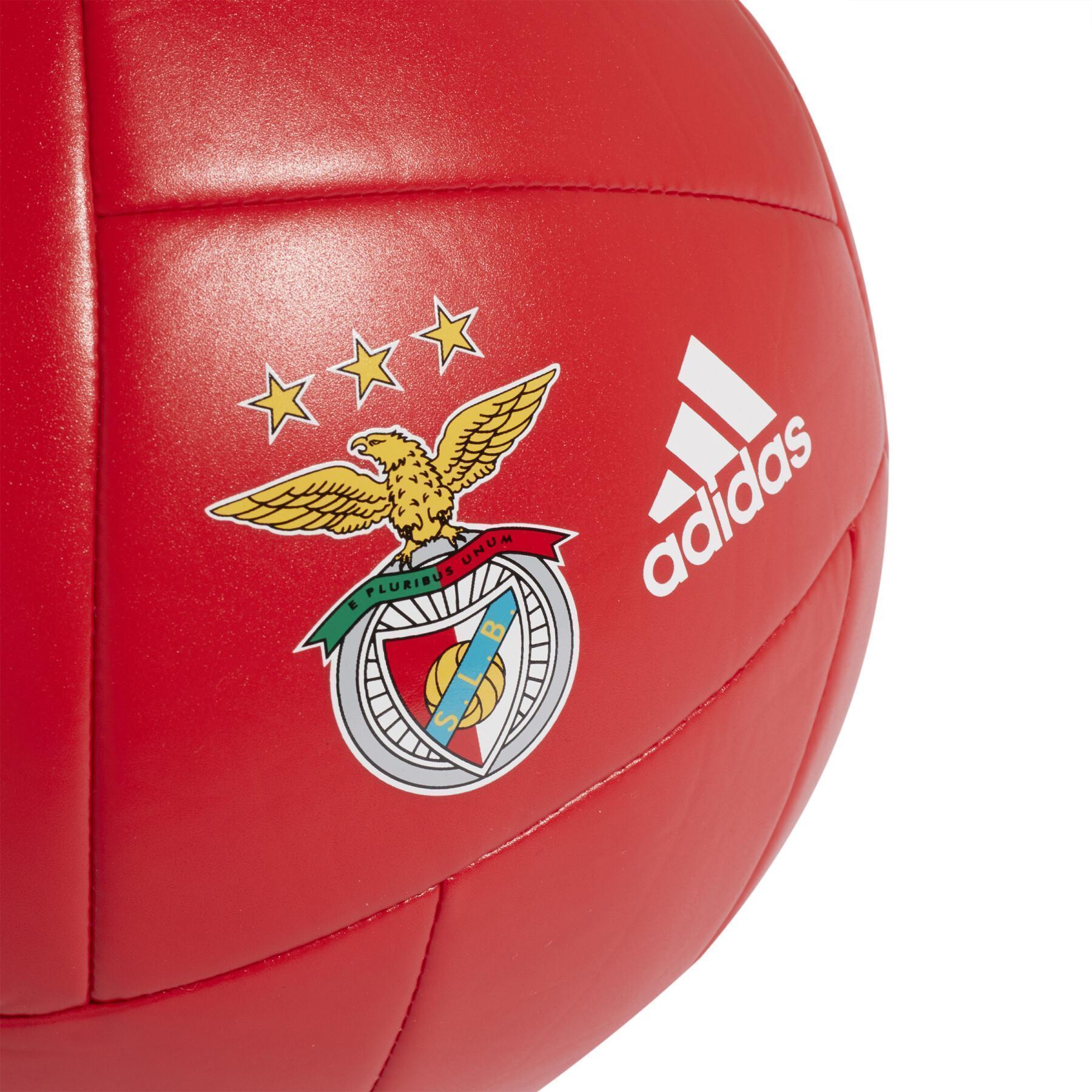 Ballong Benfica Lisbonne