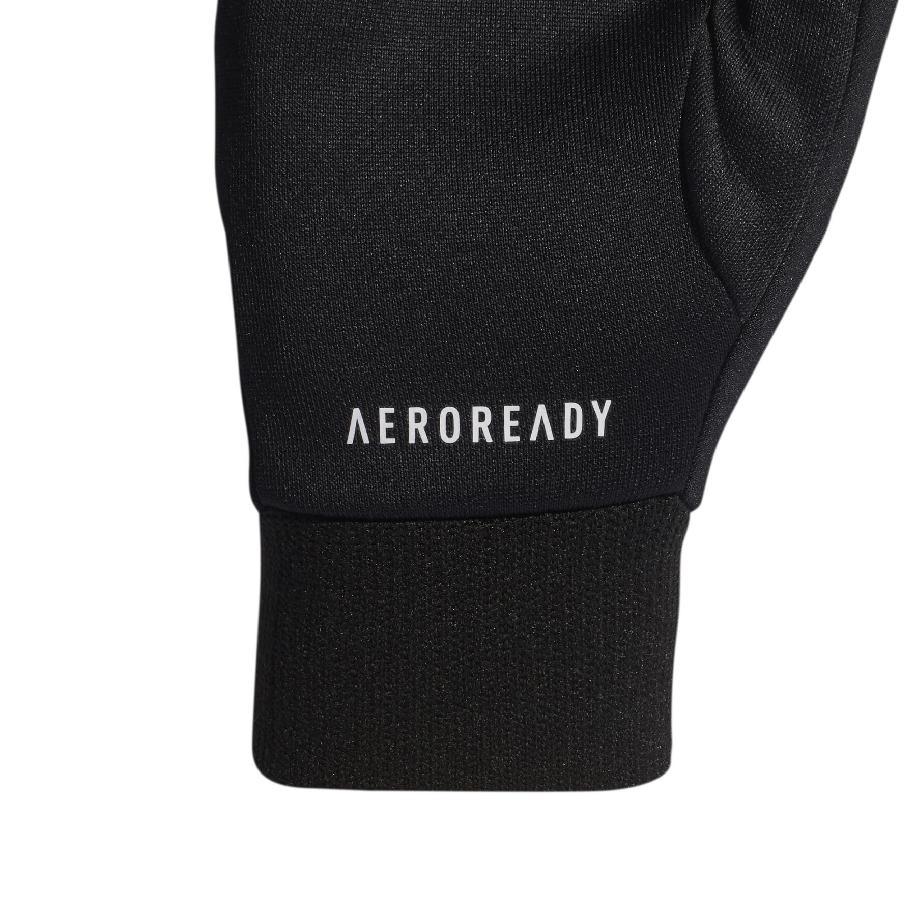 Handskar adidas Terrex Aeroready