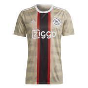 Tredje tröjan Ajax Amsterdam Daily Paper 2022/23