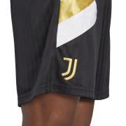 Kort Juventus Turin Icon
